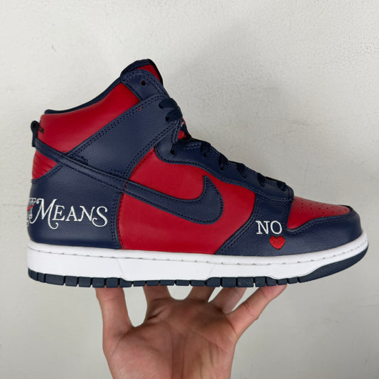 Supreme By Any Means SB Dunk Hi