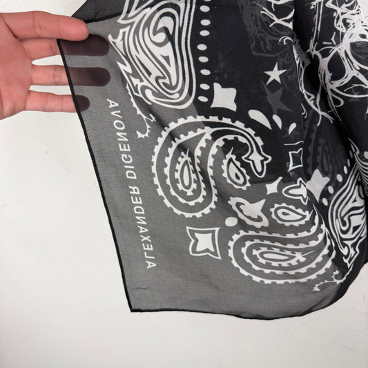 Alexander Digenova Long Paisley Thin Scarf