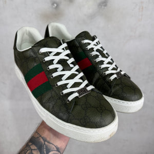 Gucci Olive Monogram Aces