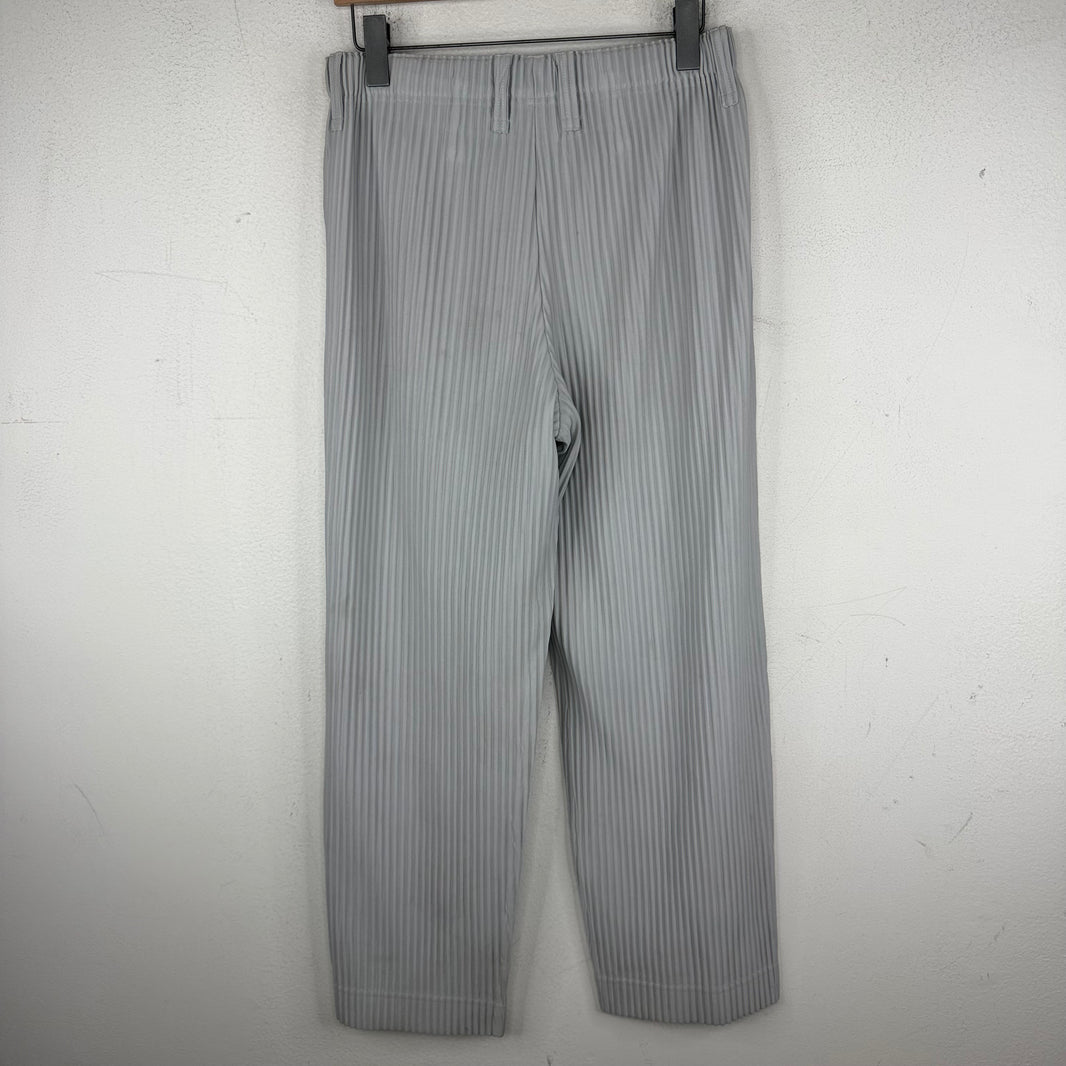 Issey Miyake Plisse Gray Pants