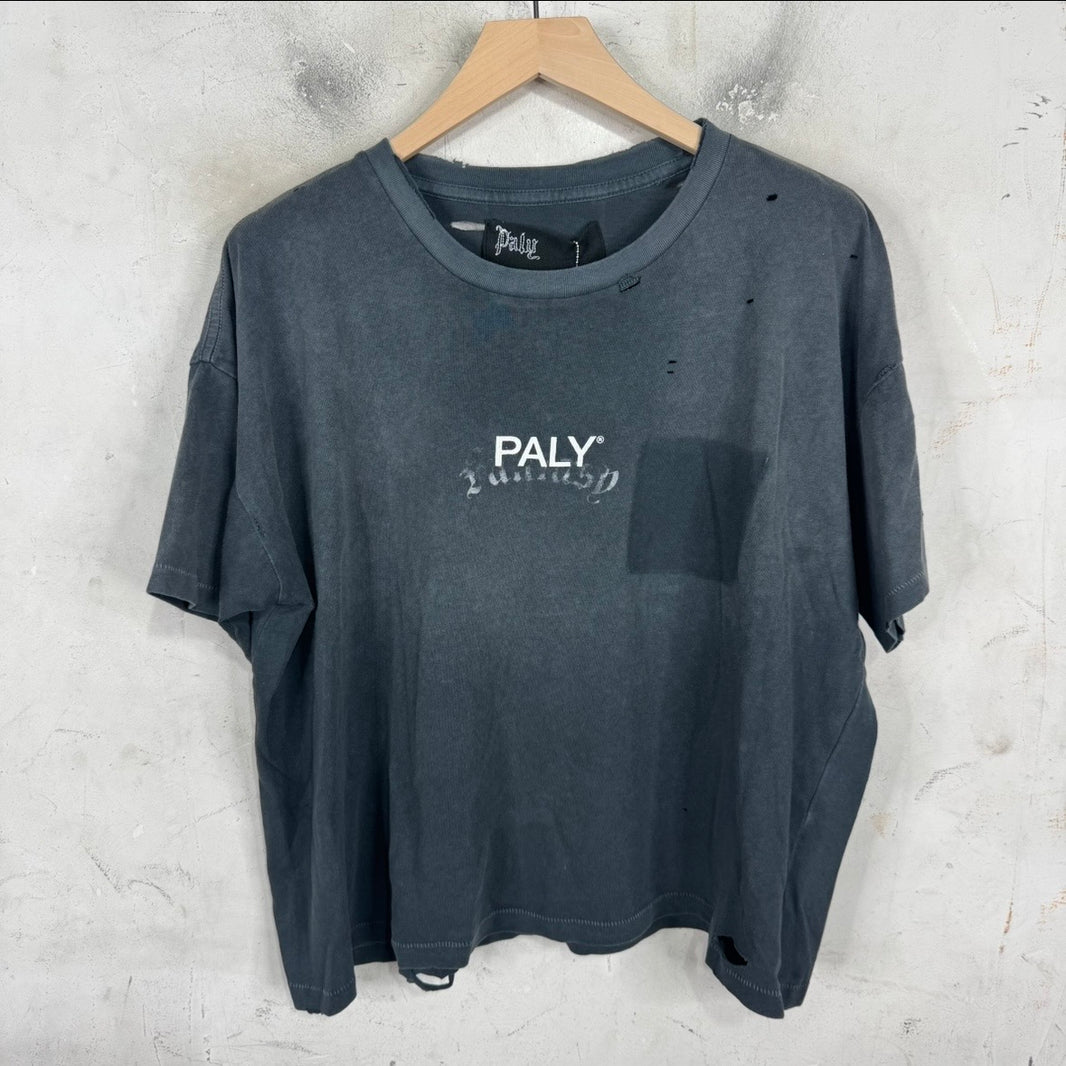 Paly Faded Black Ghost Pocket Logo T-Shirt