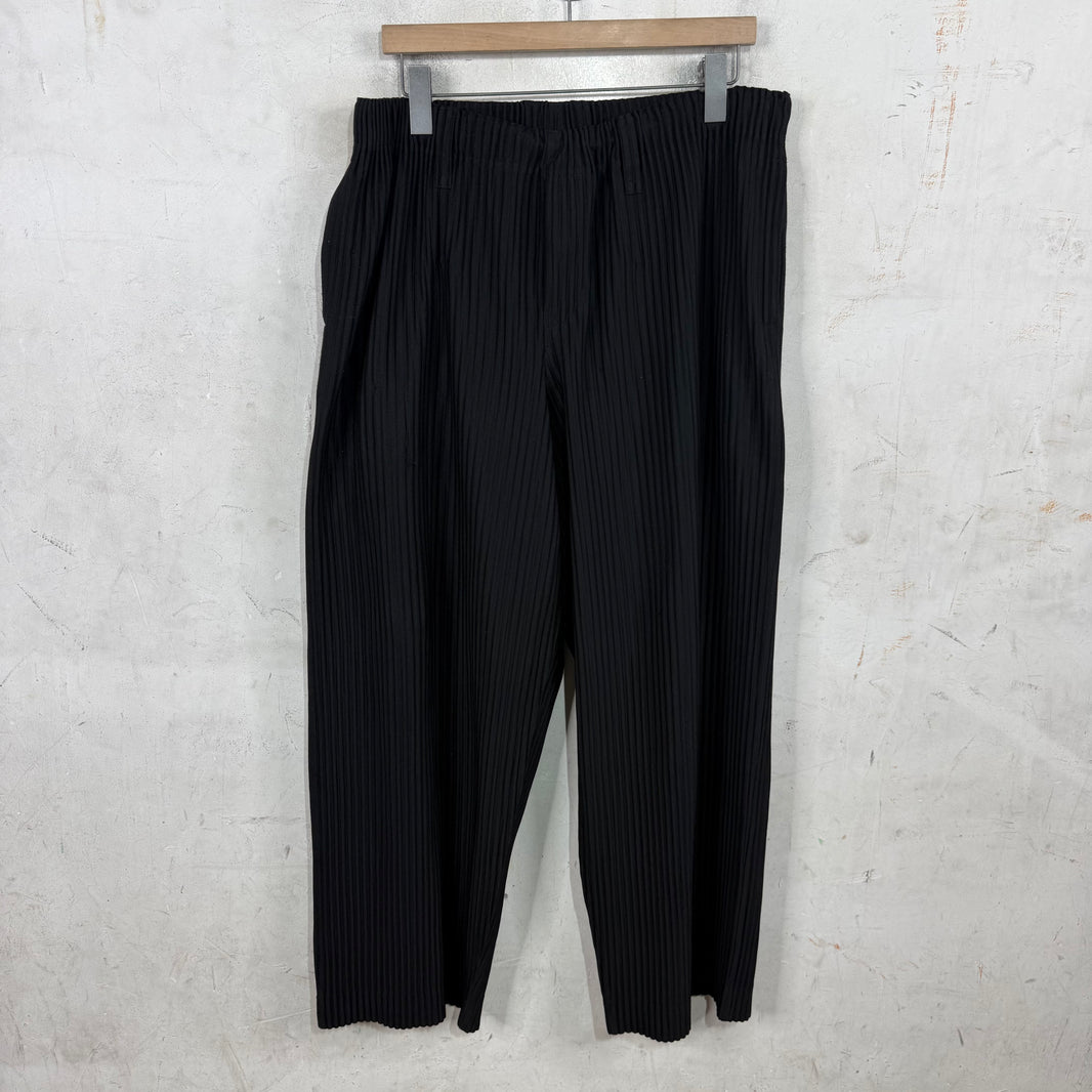 Issey Miyake Black Loose Pleates Pants