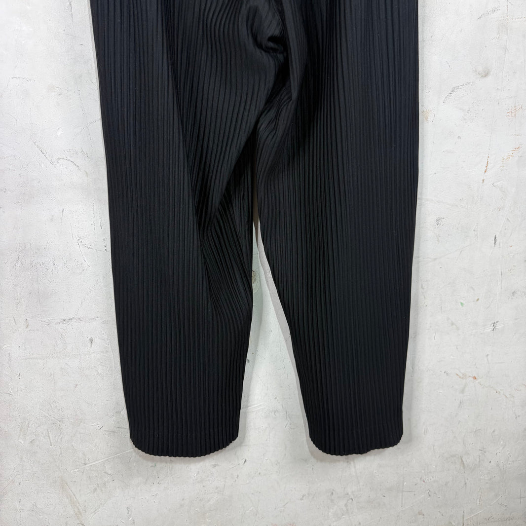 Issey Miyake Black Loose Pleates Pants