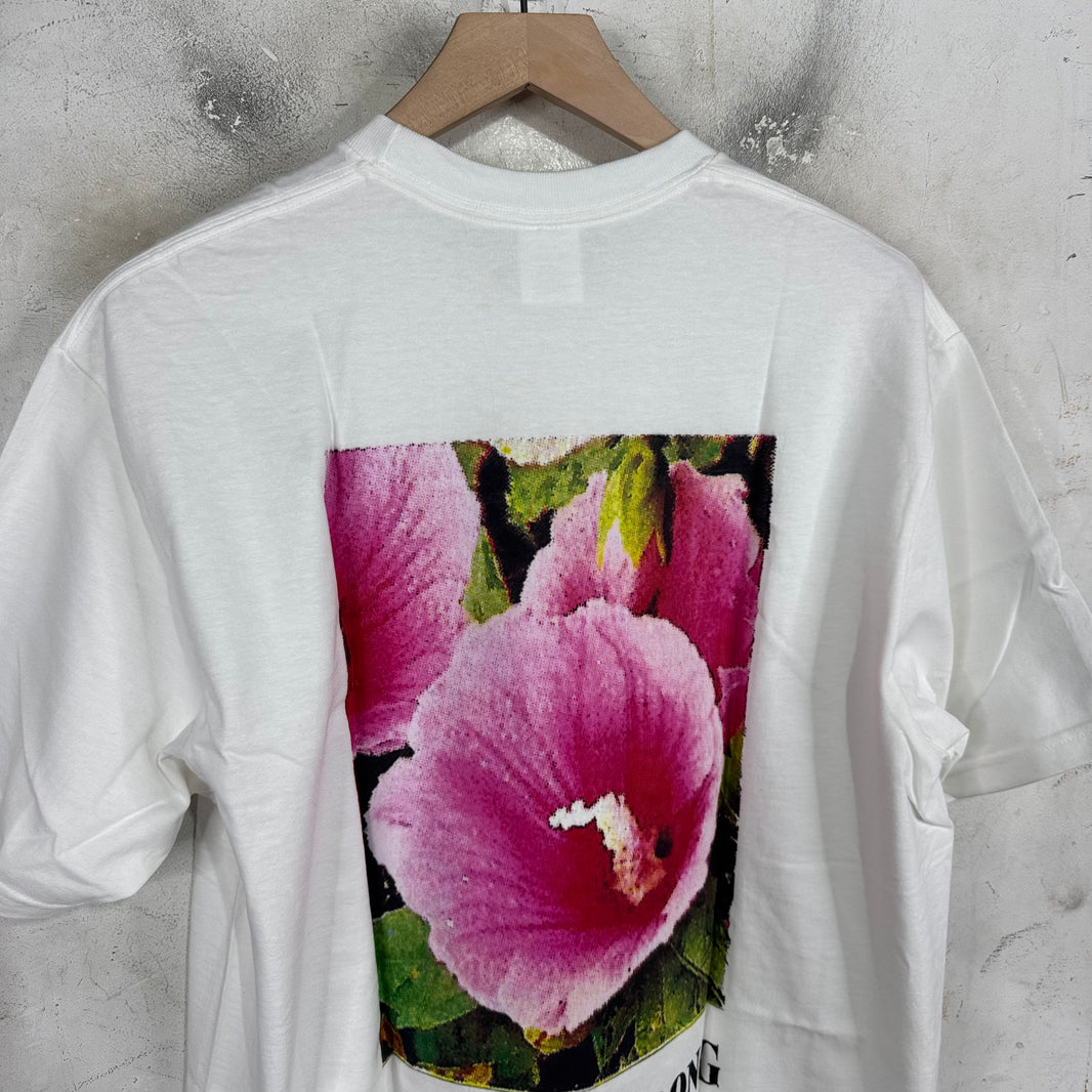 Supreme Seoul Box Logo T-Shirt