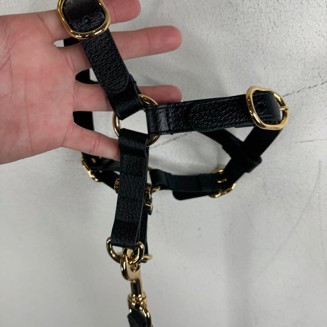 Gucci Dog Harness & Collar