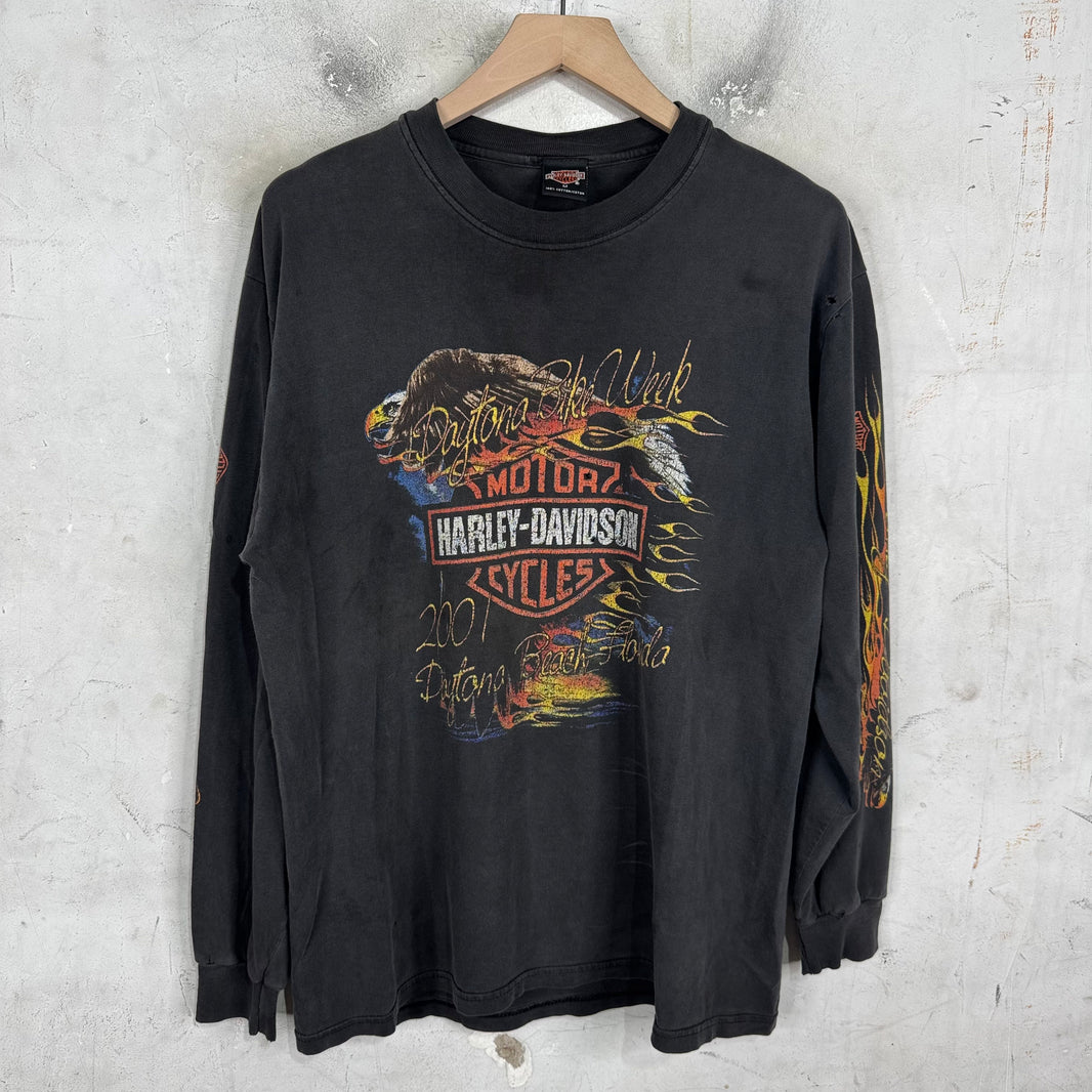 Vintage Harley Davidson 01' Smoked L/S T-Shirt