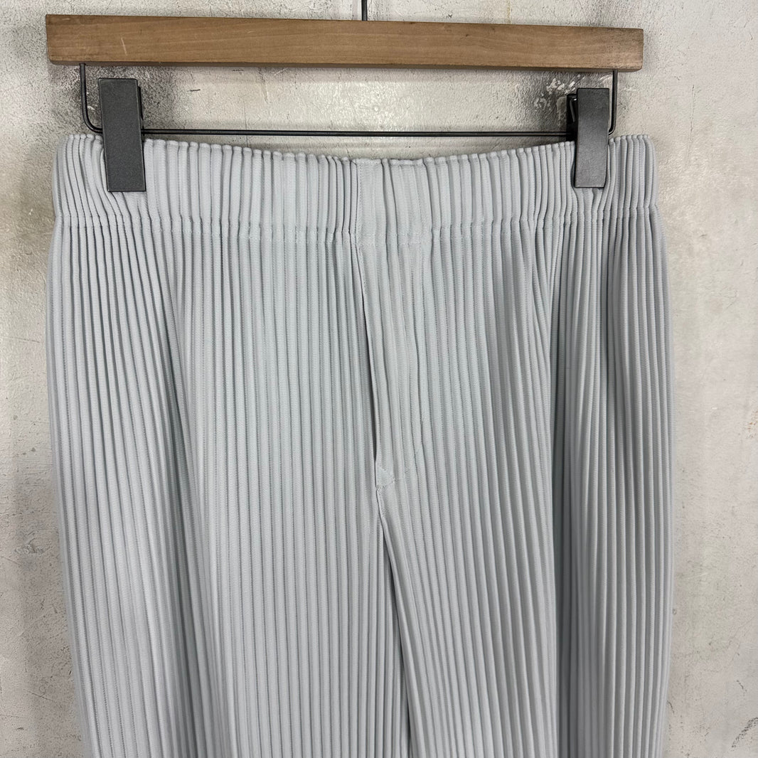 Issey Miyake Homme Plisse Light Grey Pants