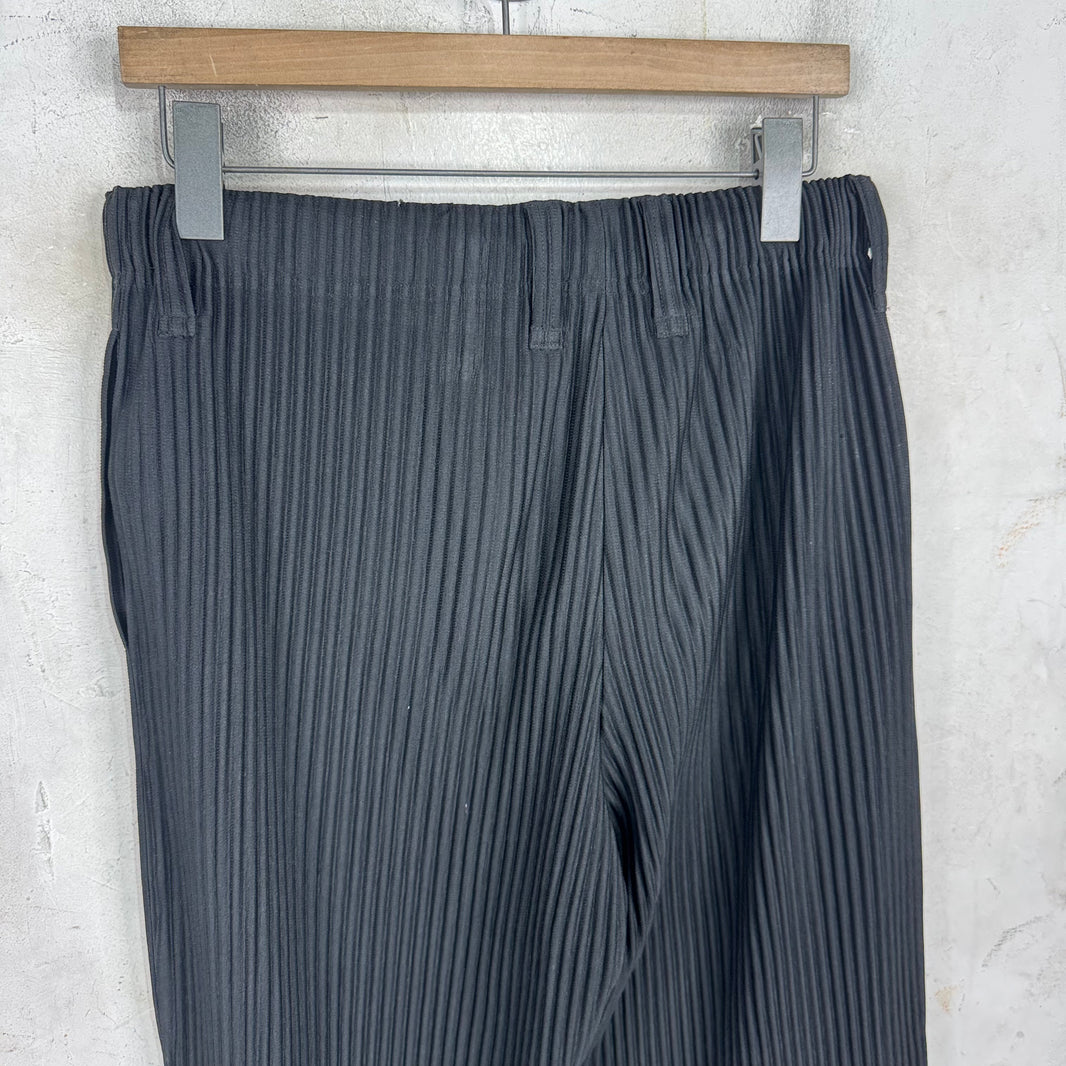 Issey Miyake Homme Plisse Black Capris