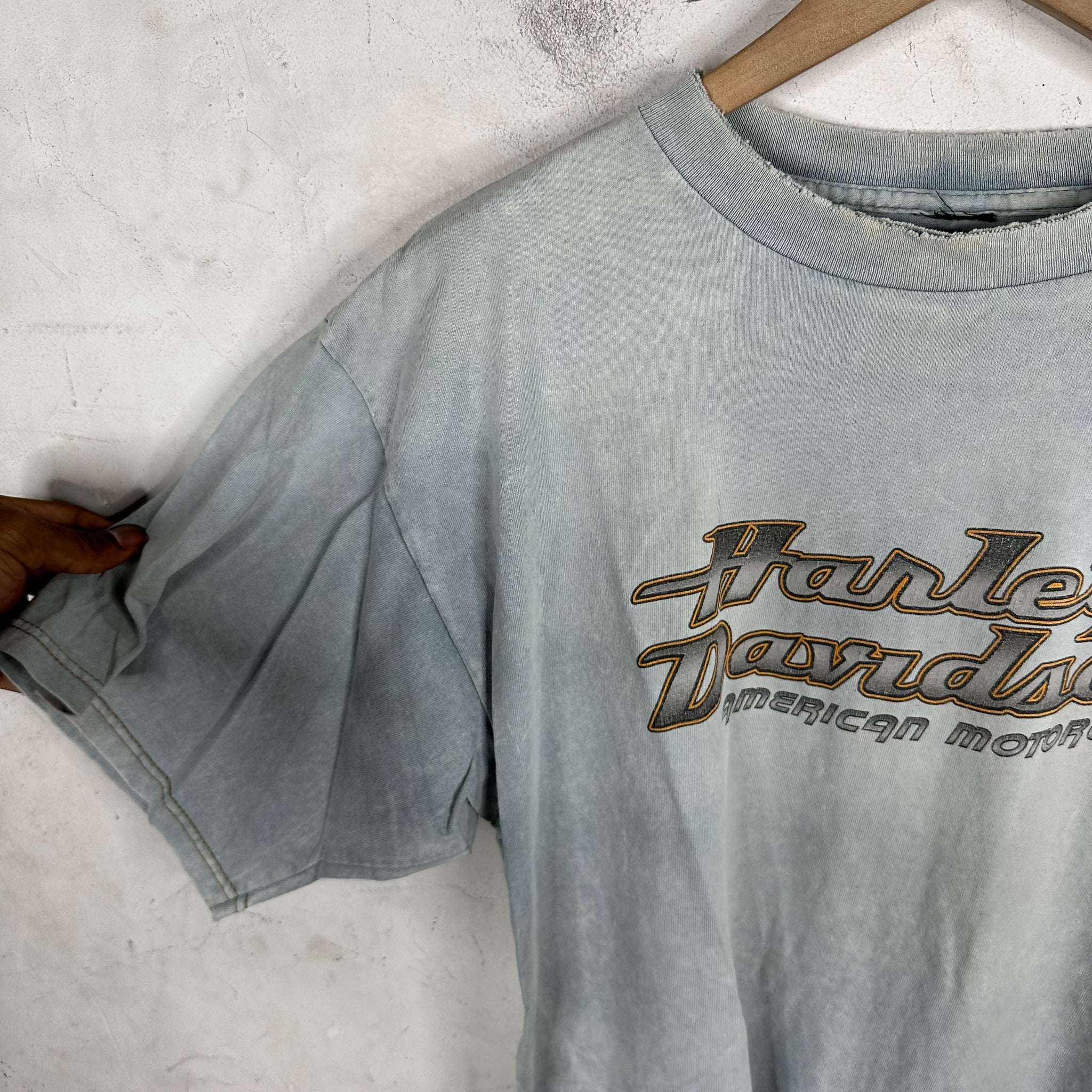 Vintage Harley Woodstock T-shirt