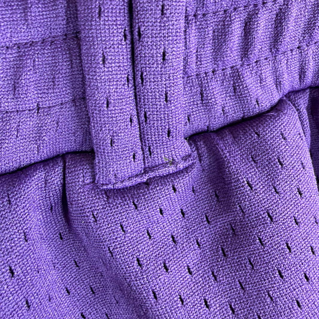 Namesake Purple Baggy Mesh Pants