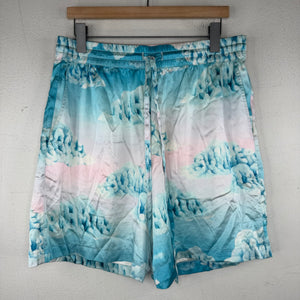 Nahmias Summer Cloud Shorts