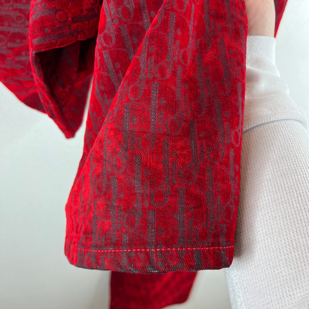 Dior ERL New Year Oblique Pants