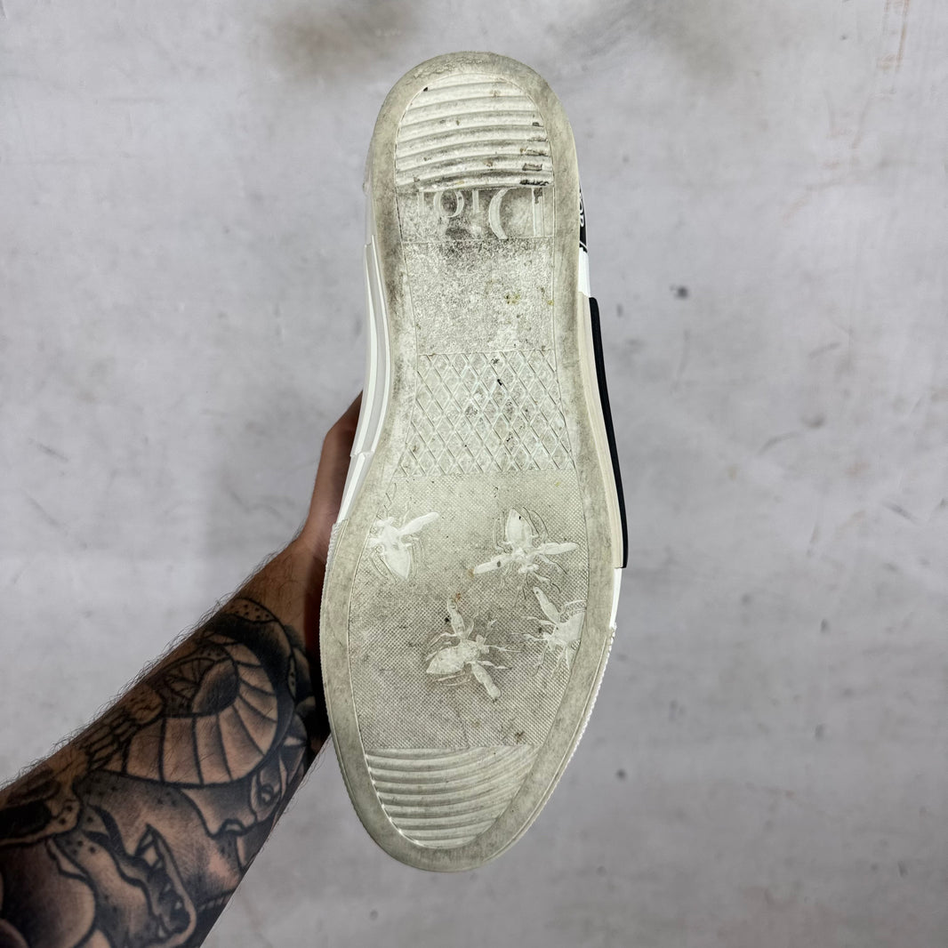 Dior B23 Oblique High Tops