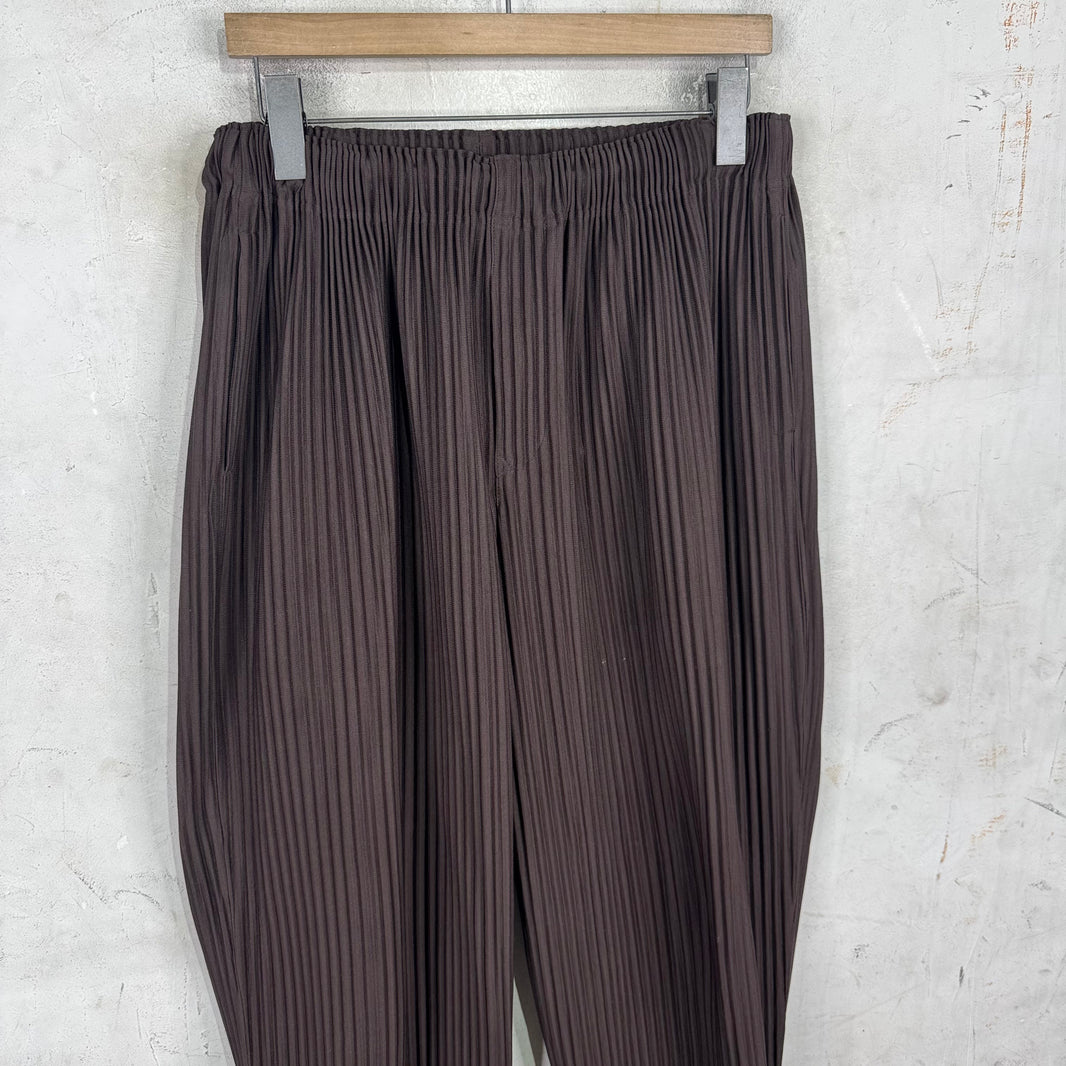 Issey Miyake Homme Plisse Brown Balloon Pants