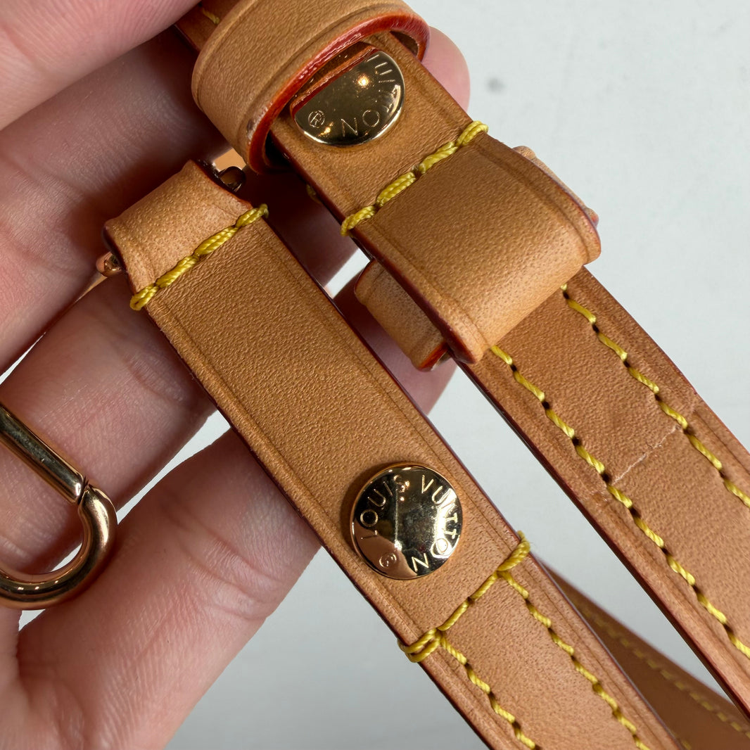 Louis Vuitton Nano Boulogne Bag