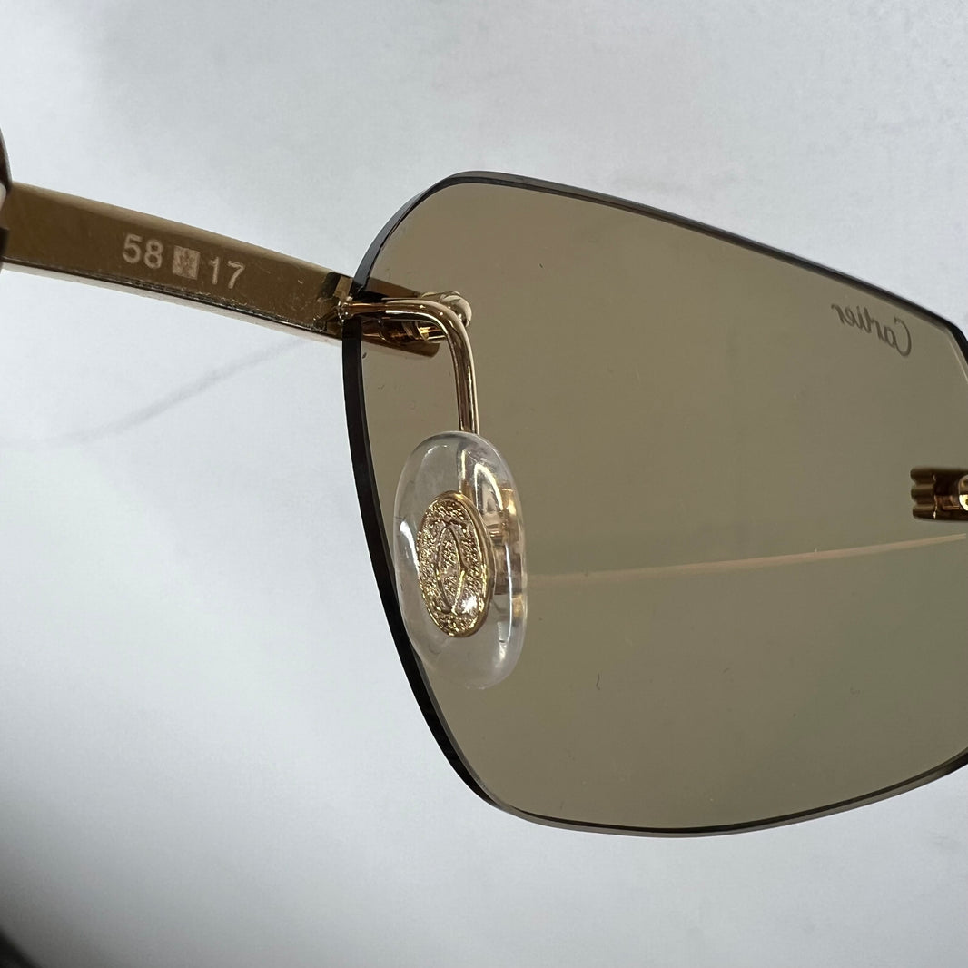 Cartier CT0271S Sunglasses
