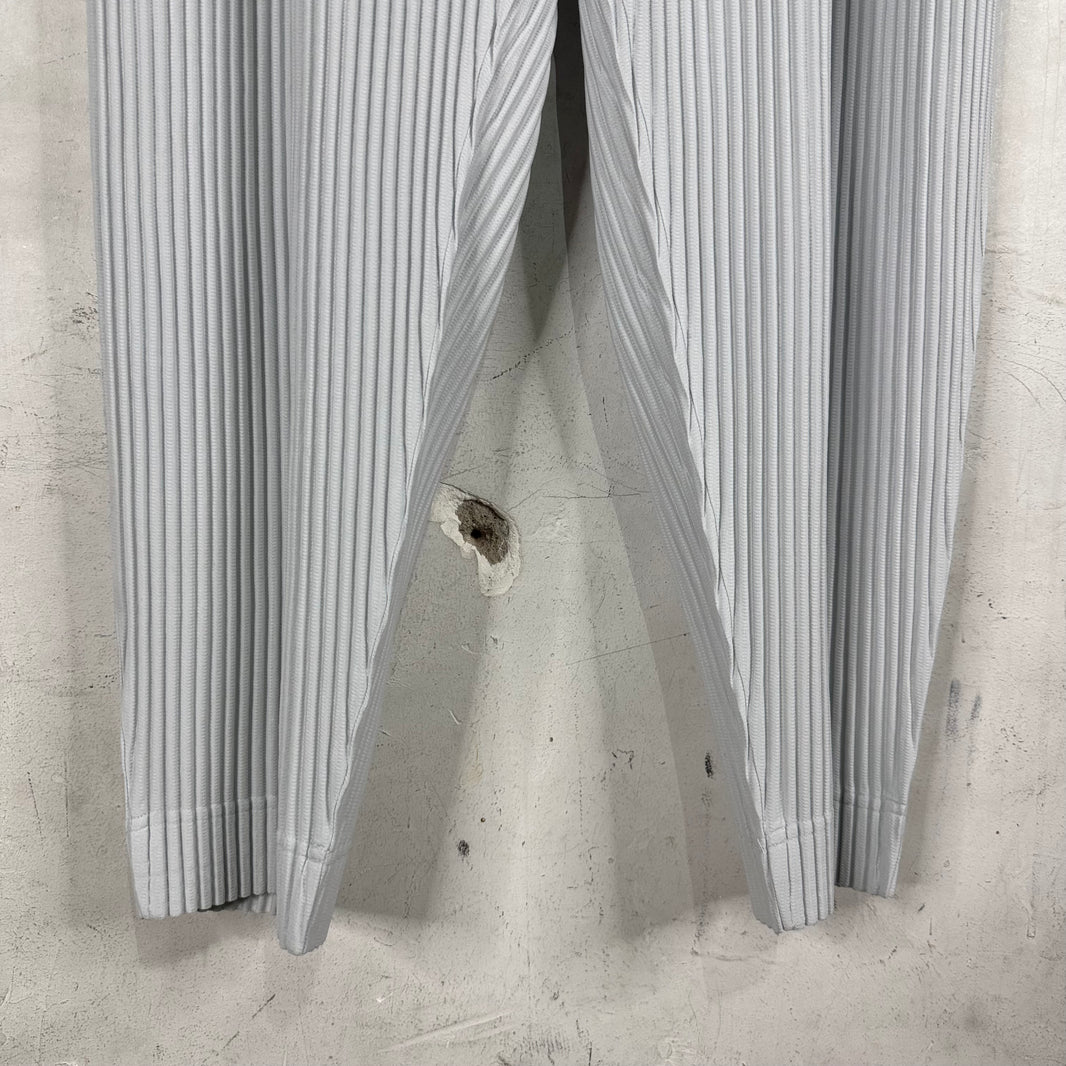 Issey Miyake Homme Plisse Light Grey Pants