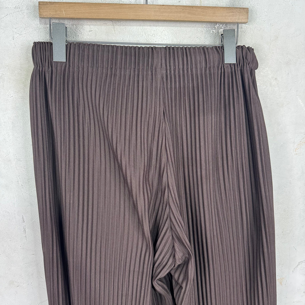 Issey Miyake Homme Plisse Brown Balloon Pants
