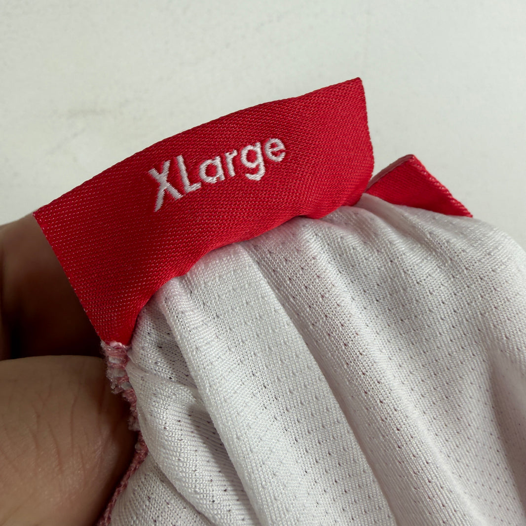 Supreme Striped Pink Gradient Gym Shorts