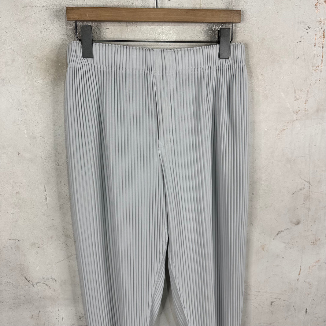 Issey Miyake Homme Plisse Light Grey Pants