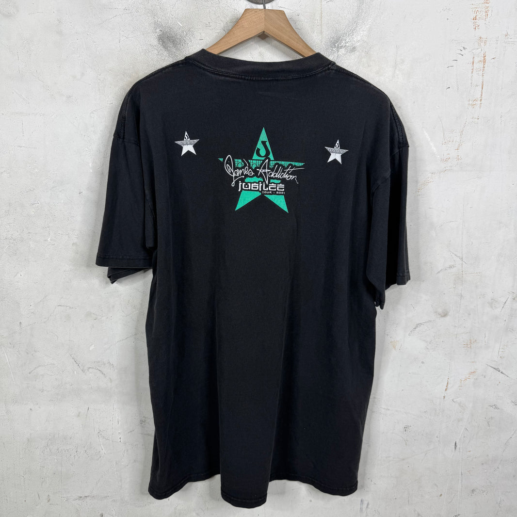 Vintage Janes Addiction Nothing Shocking T-Shirt