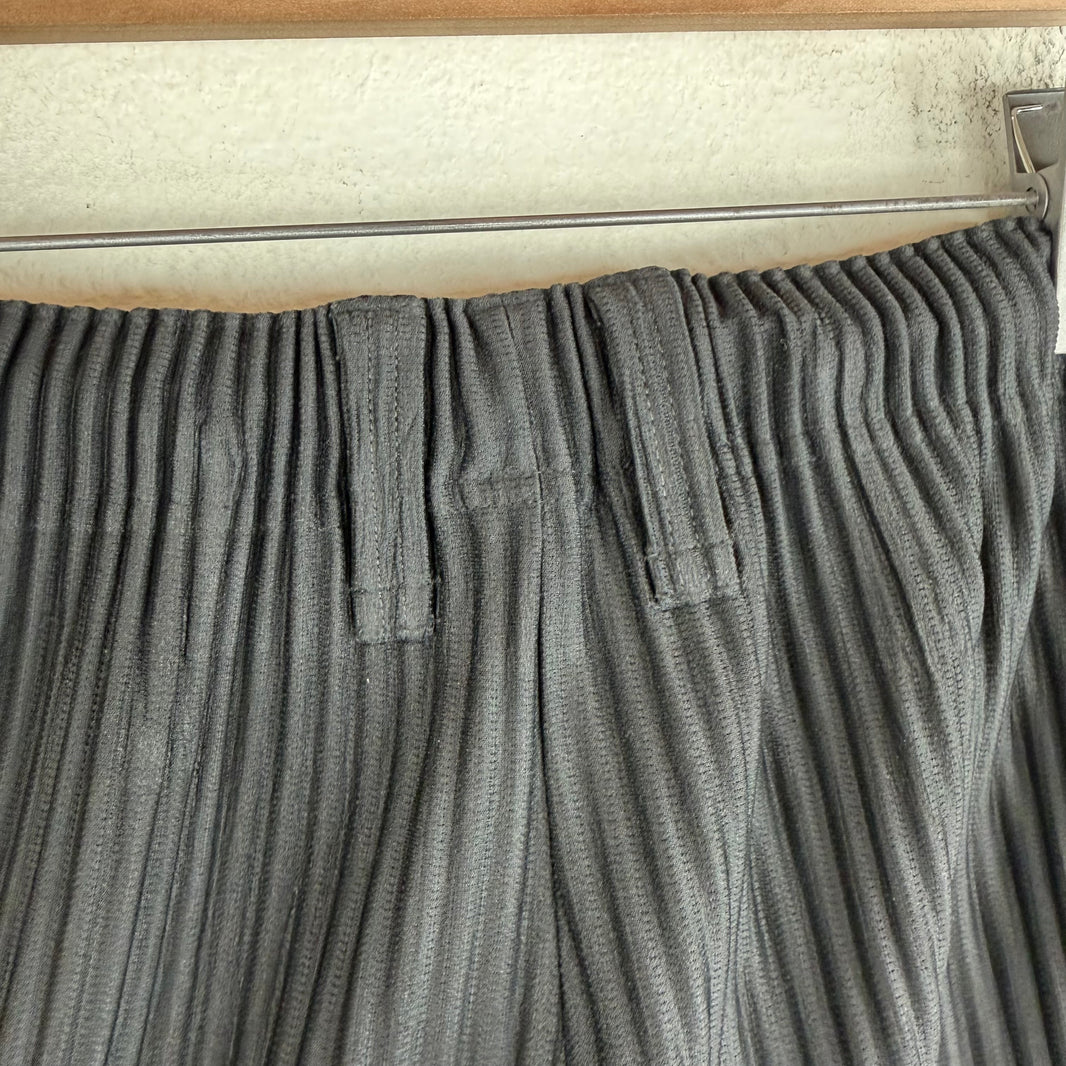 Issey Miyake Black Pleated Pants