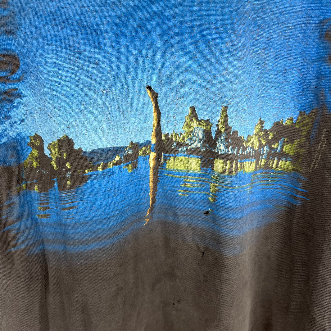 Vintage Pink Floyd Wish You Were Here T-Shirt