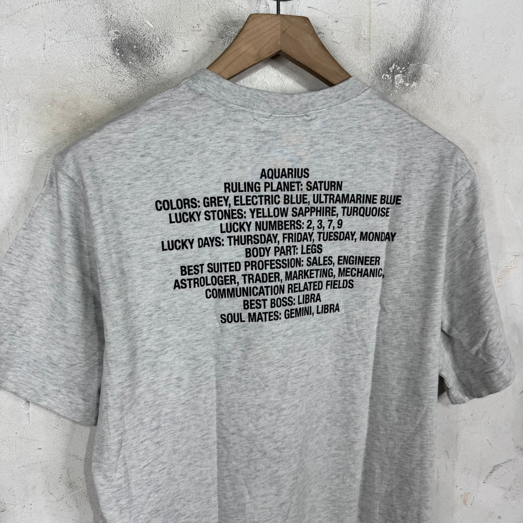 Vetements Grey Aquarius T-Shirt