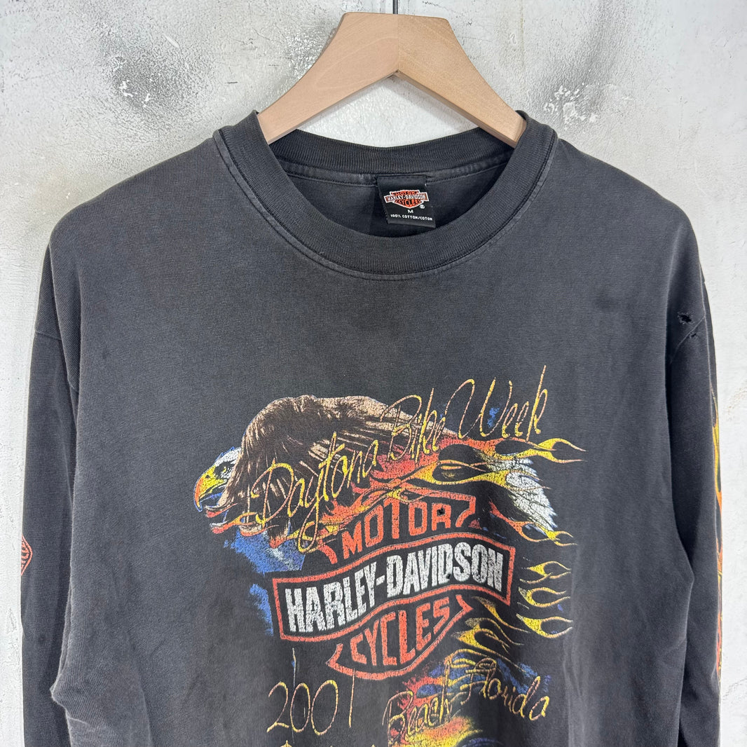 Vintage Harley Davidson 01' Smoked L/S T-Shirt