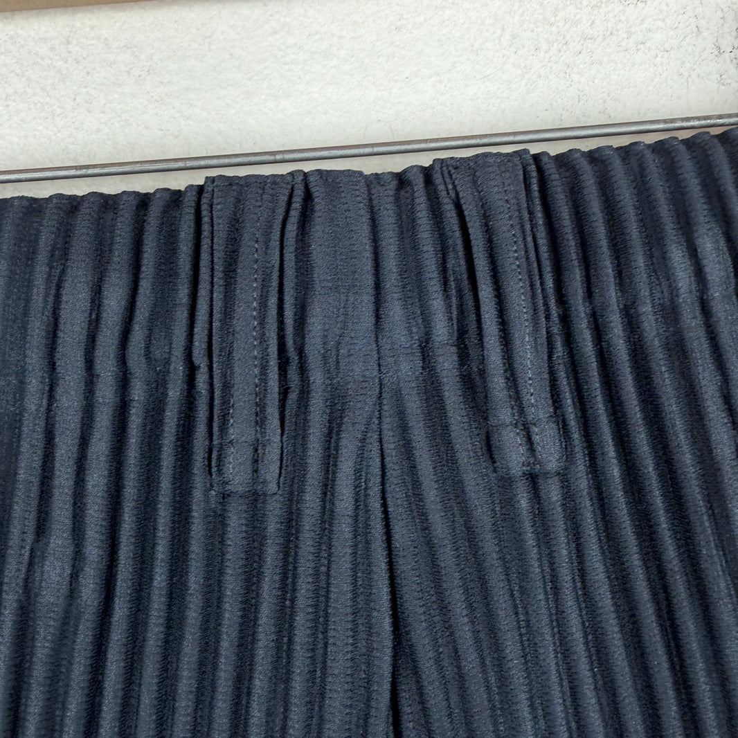 Issey Miyake Navy Pleated Trousers