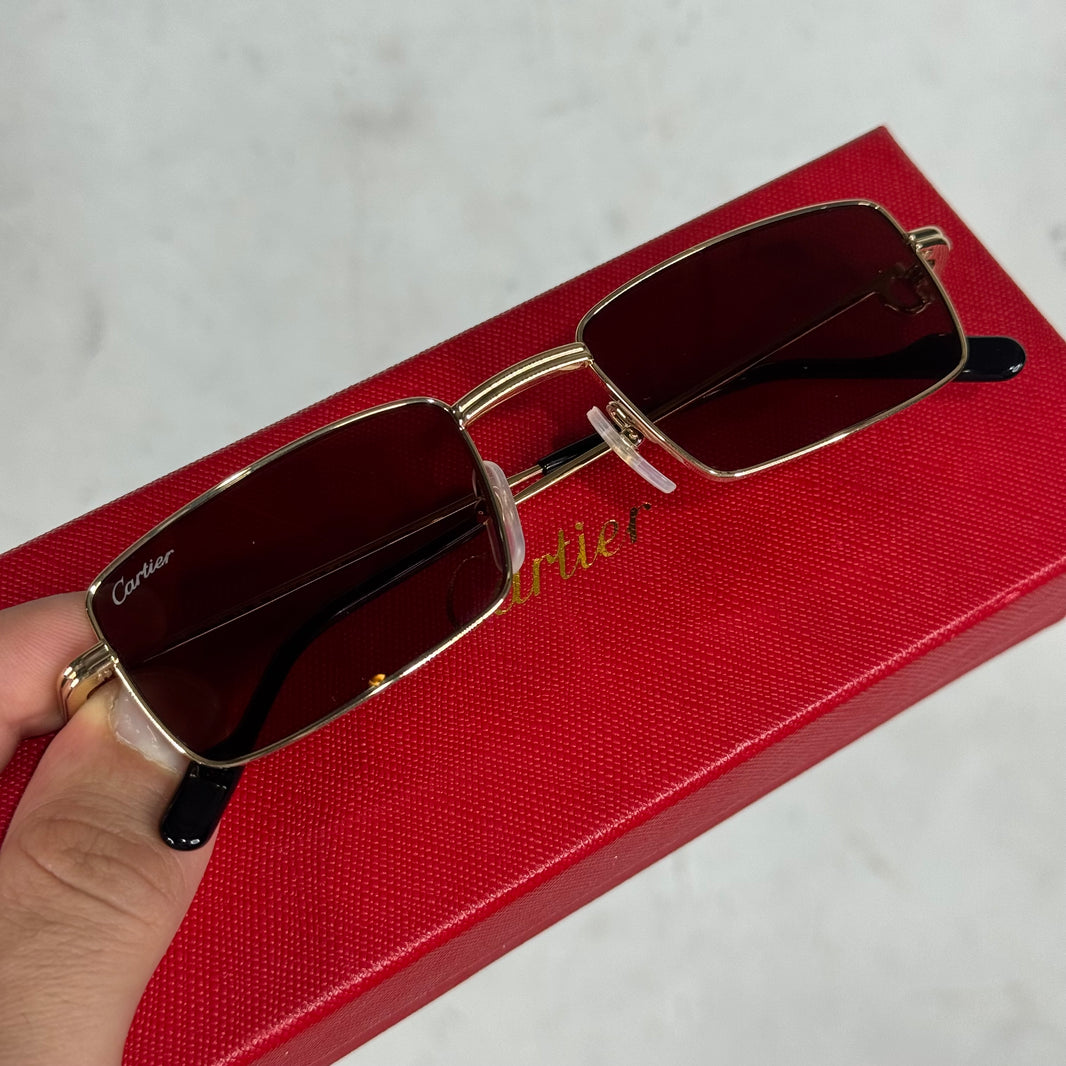Cartier CT0501S Wire Sunglasses