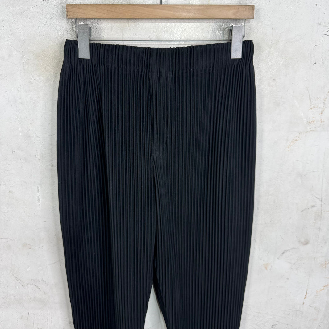 Issey Miyake Homme Plisse Black Trousers