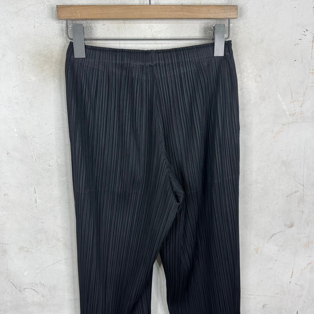 Issey Miyake Pleates Please Black Pants