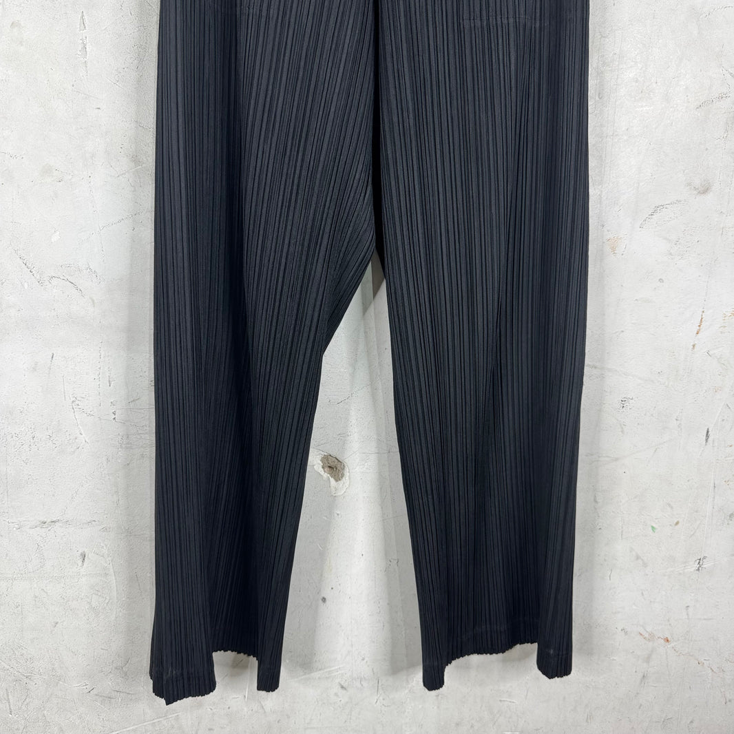 Issey Miyake Pleates Please Black Pants