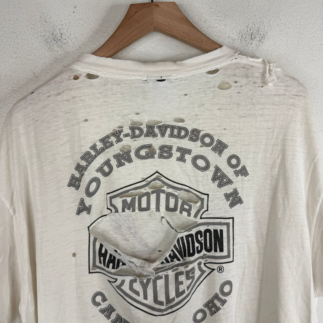 Vintage Smoked Harley Born to Ride Shirt