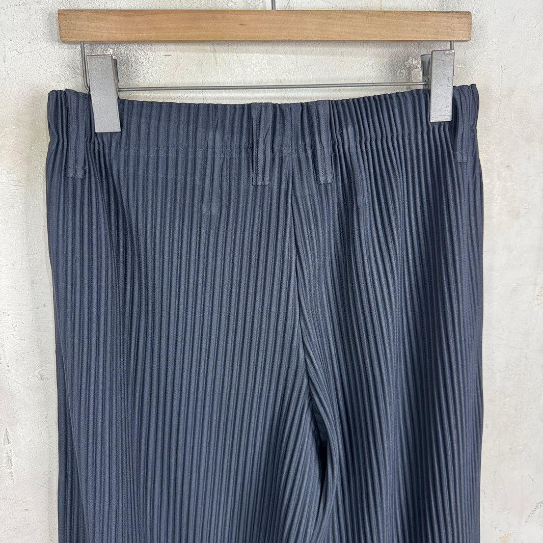 Issey Miyake Dark Navy Pleated Trousers