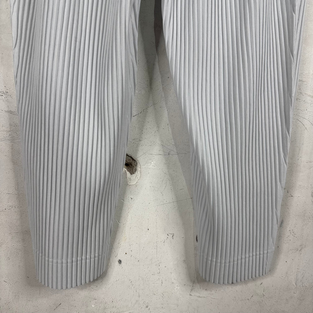 Issey Miyake Homme Plisse Light Grey Pants