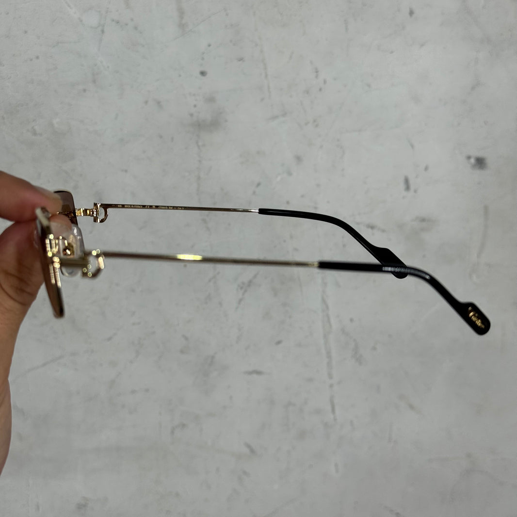 Cartier CT0501S Wire Sunglasses