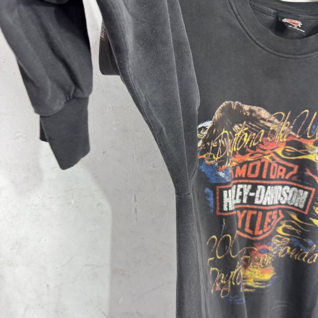 Vintage Harley Davidson 01' Smoked L/S T-Shirt