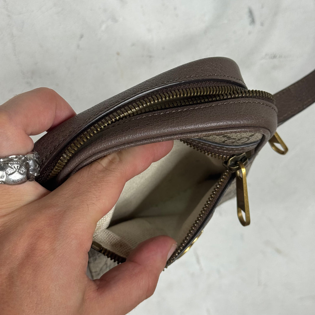 Gucci Ophidia Side Bag
