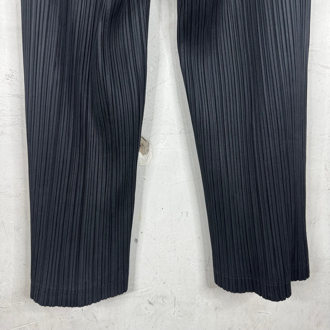 Issey Miyake Pleates Please Black Pants