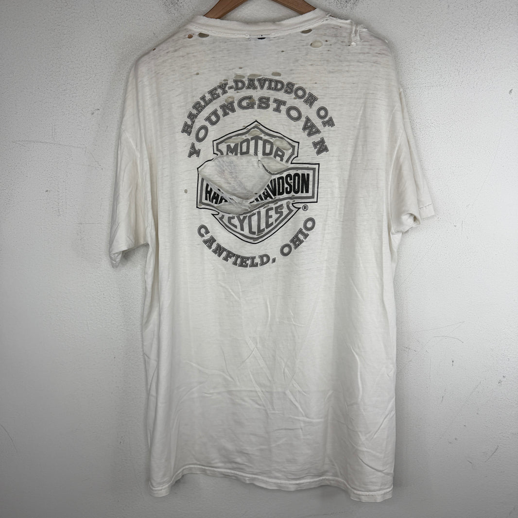 Vintage Smoked Harley Born to Ride Shirt