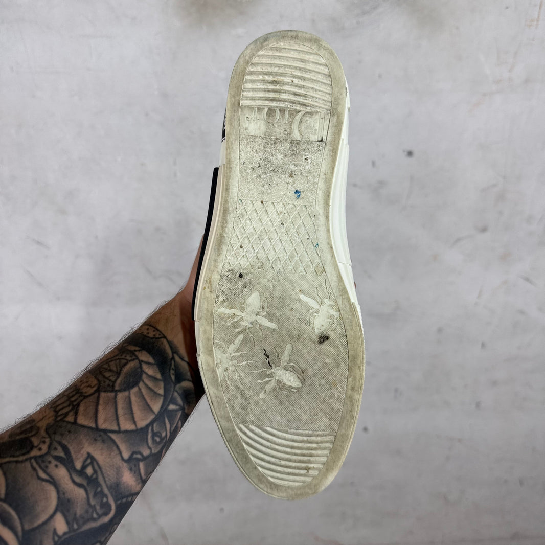 Dior B23 Oblique High Tops