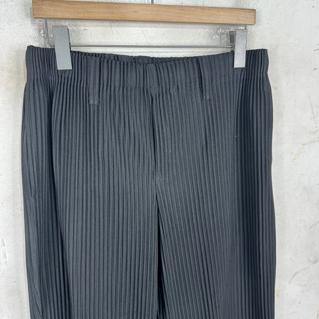 Issey Miyake Homme Plisse Black Capris
