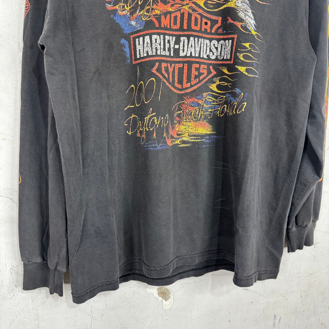 Vintage Harley Davidson 01' Smoked L/S T-Shirt