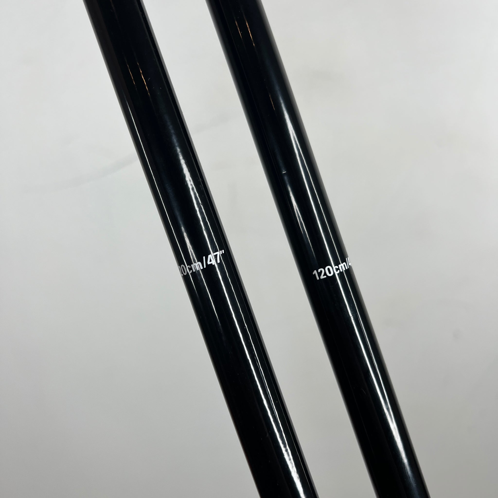 Balenciaga 3B Ski Poles