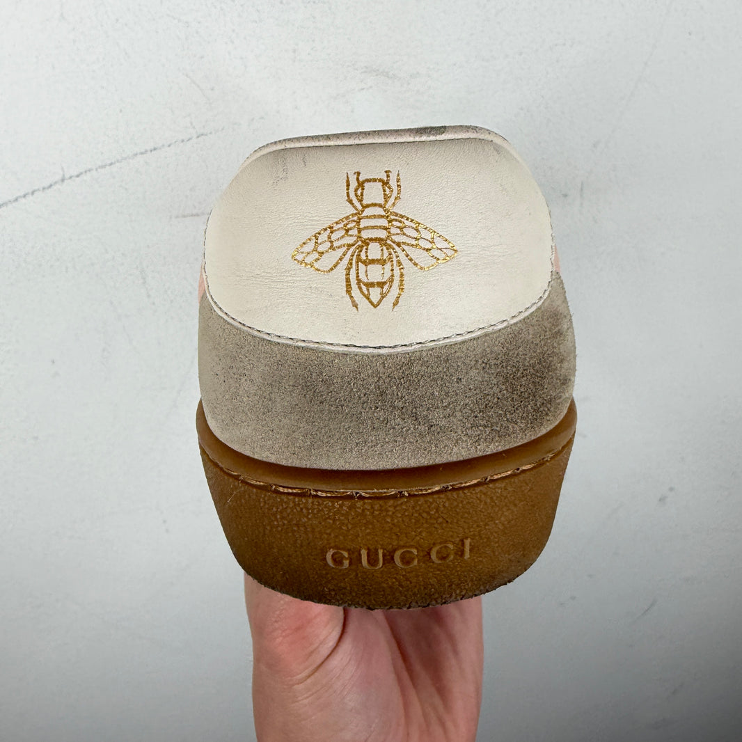 Gucci Pink G74 Web Low Sneakers