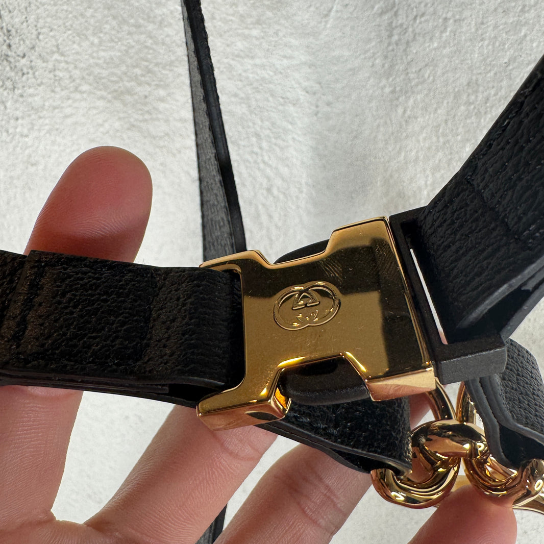 Gucci Dog Harness & Collar