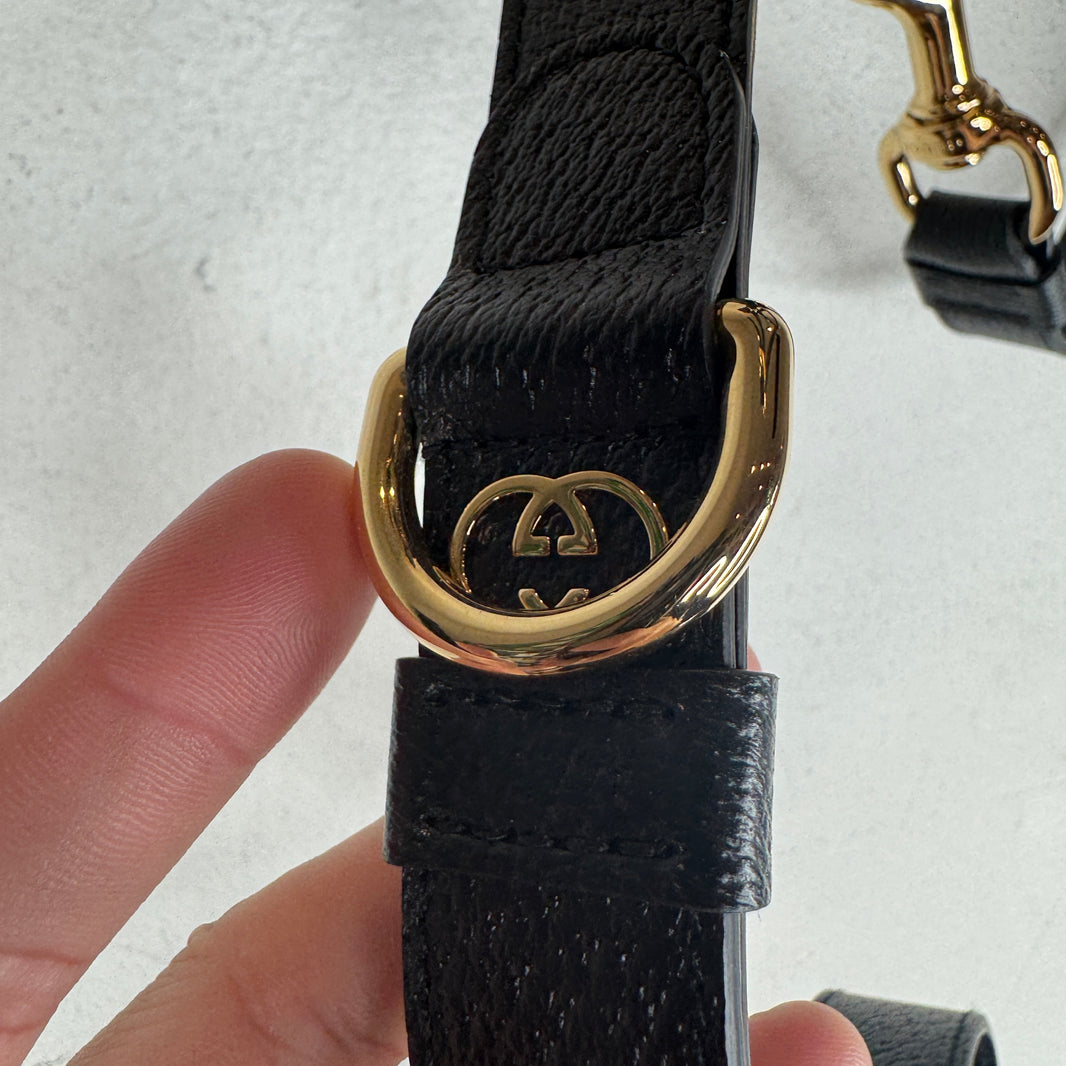 Gucci Dog Harness & Collar