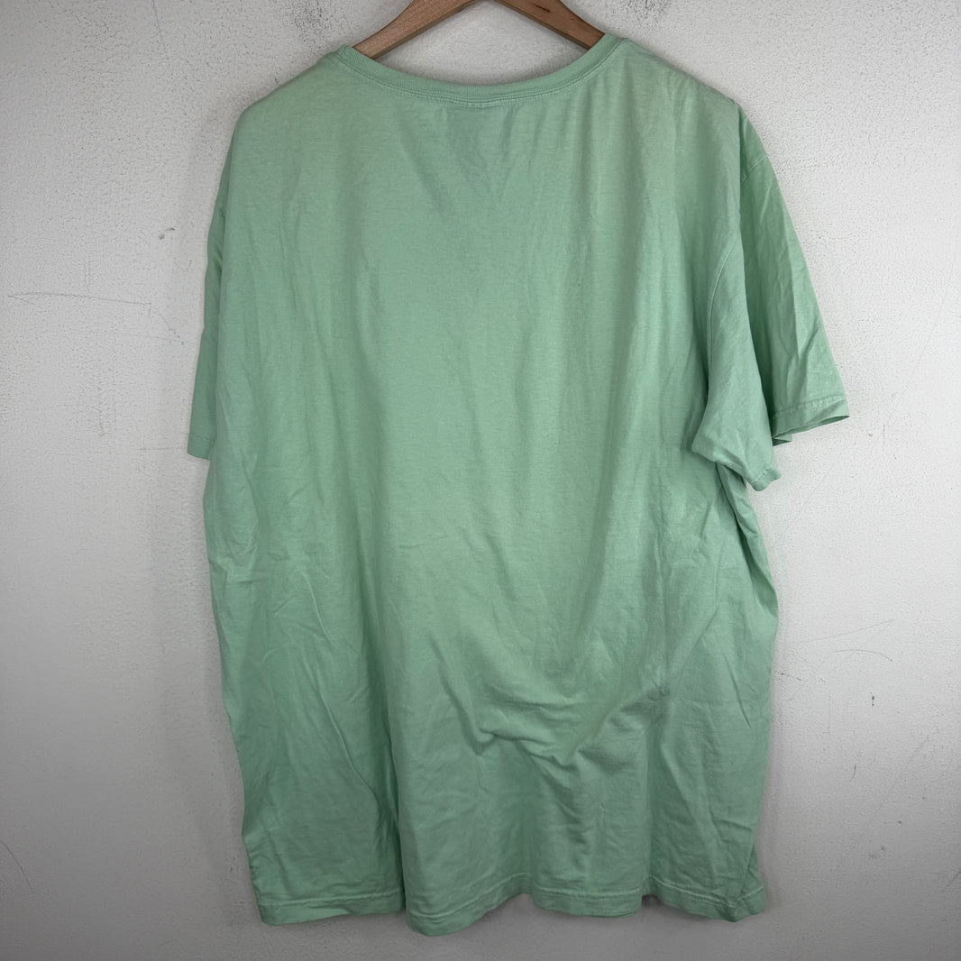 Vintage Polo Sport Green Bear T-Shirt